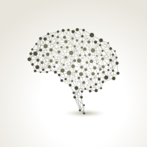 brain